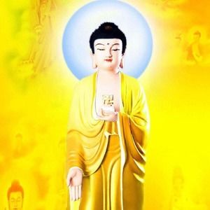 Meet your Posher, Dao uyen